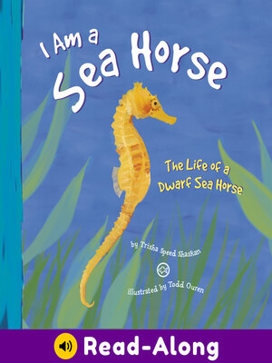 cover image of I Am a Sea Horse